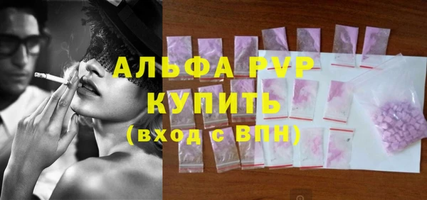 таблы Бородино