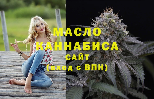 прущий лед Богданович