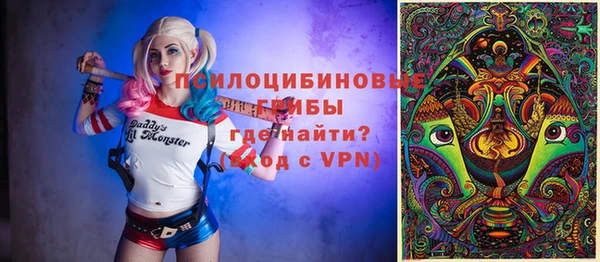 прущий лед Богданович