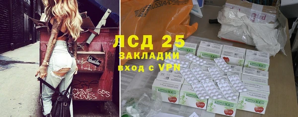 прущий лед Богданович