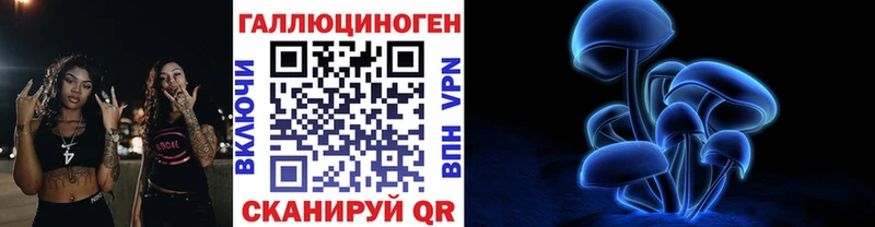 Купить закладки  Мичуринск  Псилоцибиновые грибы MAGIC MUSHROOMS 